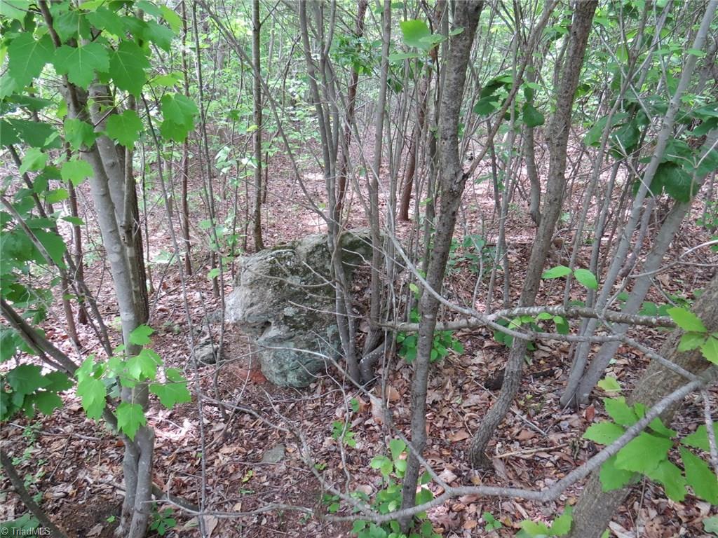 450 Fox Mountain Road Hiddenite, NC 28636 - Photo 27 of 30 Gallery Image 27