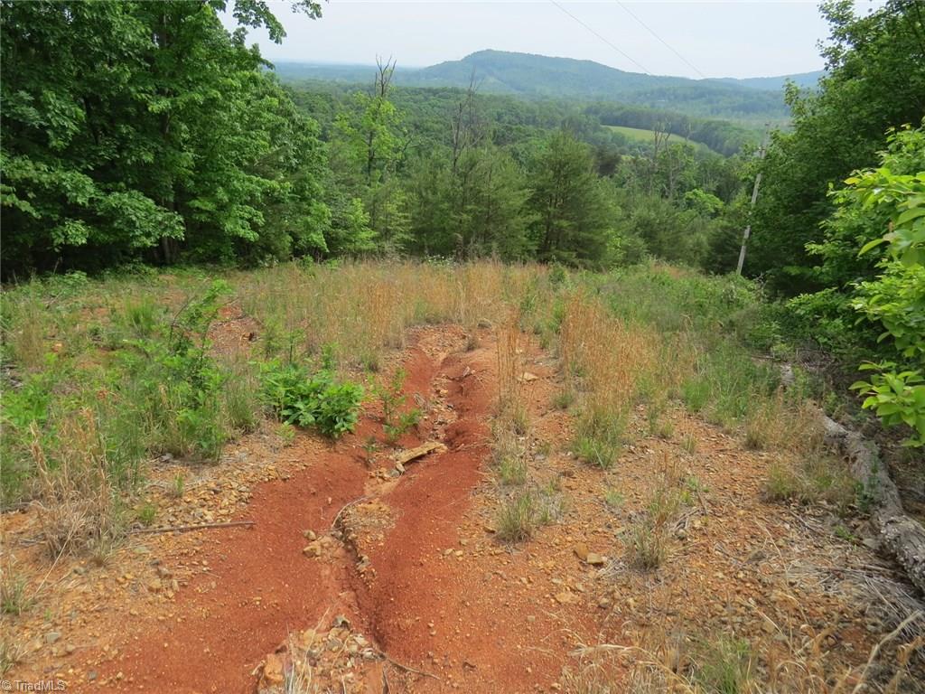 450 Fox Mountain Road Hiddenite, NC 28636 - Photo 28 of 30 Gallery Image 28