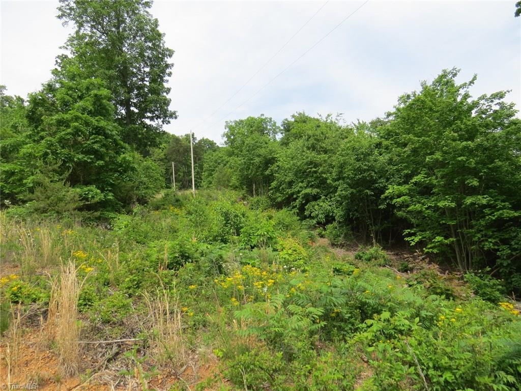 450 Fox Mountain Road Hiddenite, NC 28636 - Photo 29 of 30 Gallery Image 29