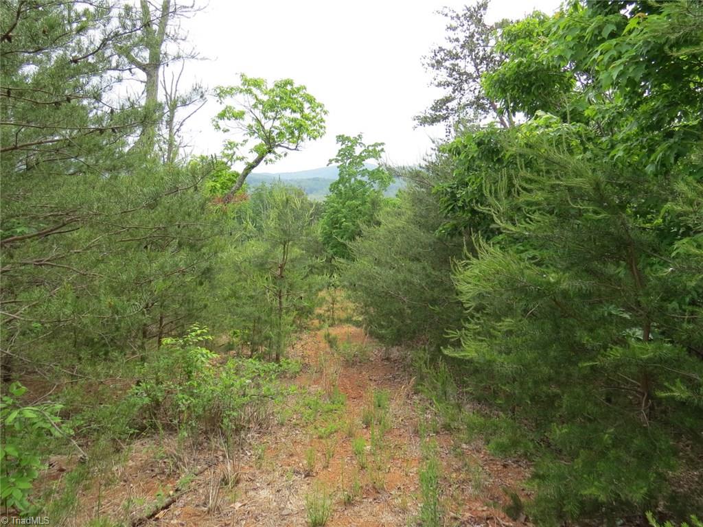450 Fox Mountain Road Hiddenite, NC 28636 - Photo 30 of 30 Gallery Image 30