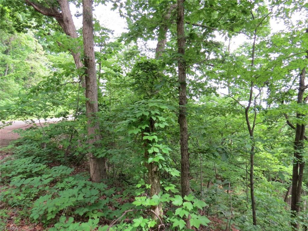 450 Fox Mountain Road Hiddenite, NC 28636 - Photo 4 of 30 Gallery Image 4