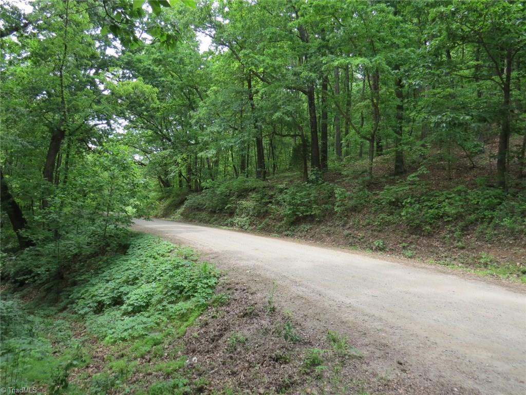 450 Fox Mountain Road Hiddenite, NC 28636 - Photo 6 of 30 Gallery Image 6