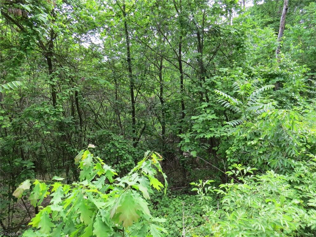 450 Fox Mountain Road Hiddenite, NC 28636 - Photo 10 of 30 Gallery Image 10