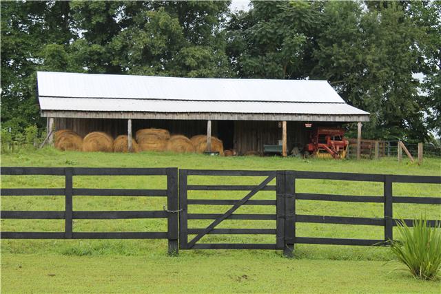 1577 North Springs Road Red Boiling Springs, TN 37150 - Photo 4 of 10