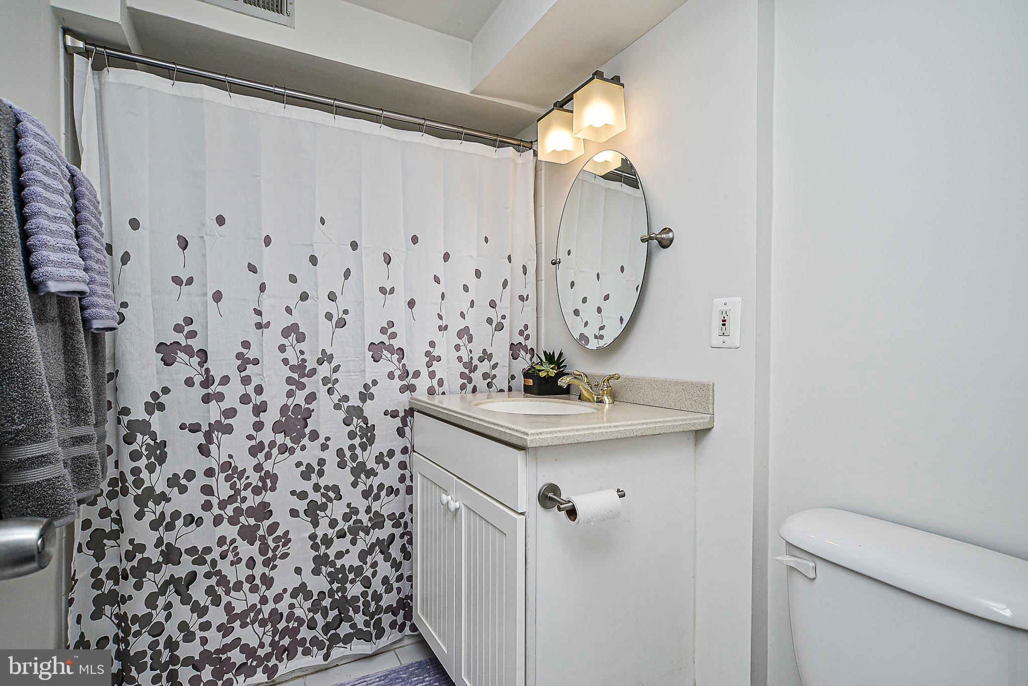 4215 Lees Corner Road Chantilly, VA 20151 - Photo 28 of 38 Charming full bath in the lower level.