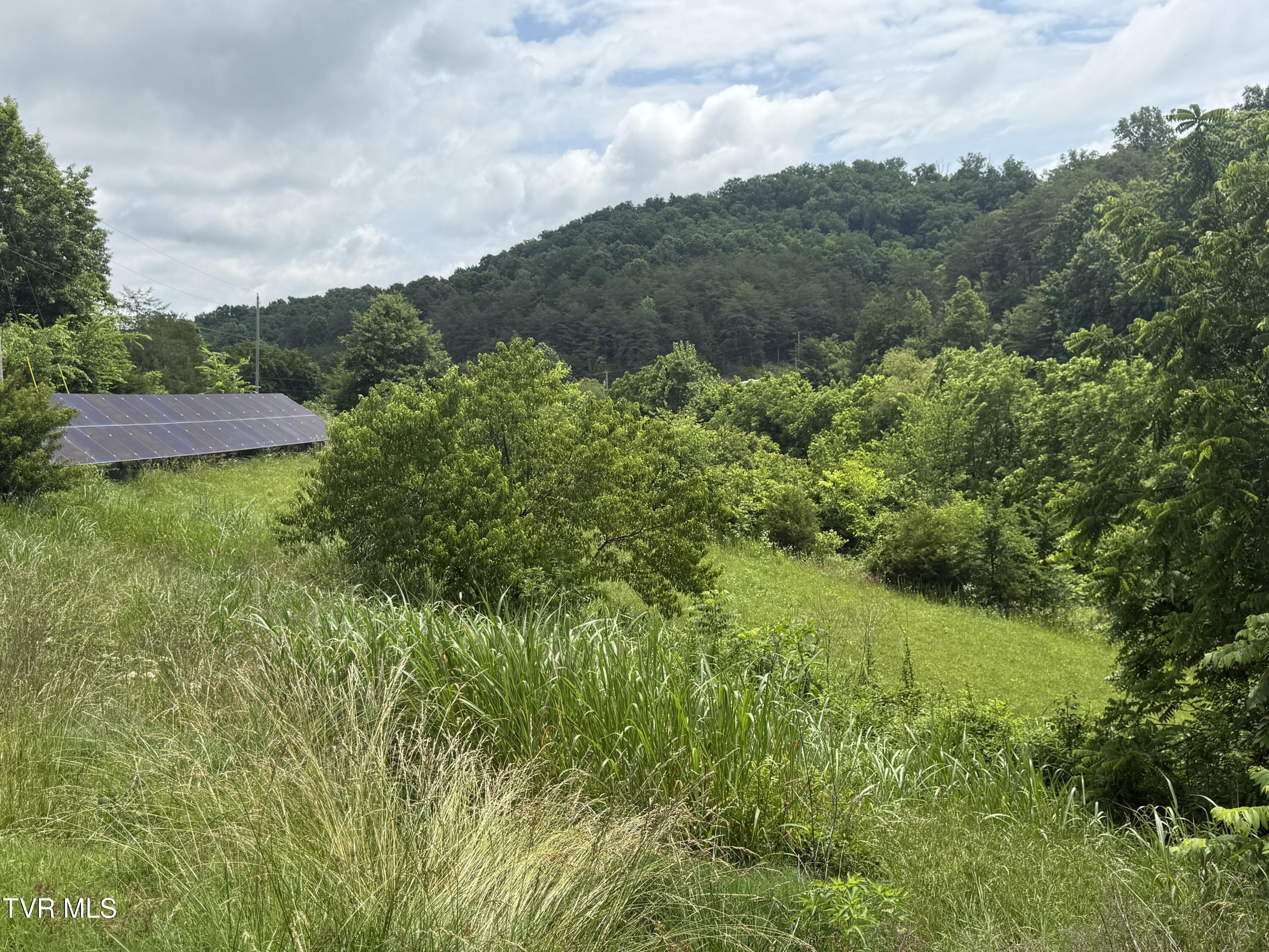 2233 Sinking Creek Road Parrottsville, TN 37843 - Photo 10 of 48 IMG_1931