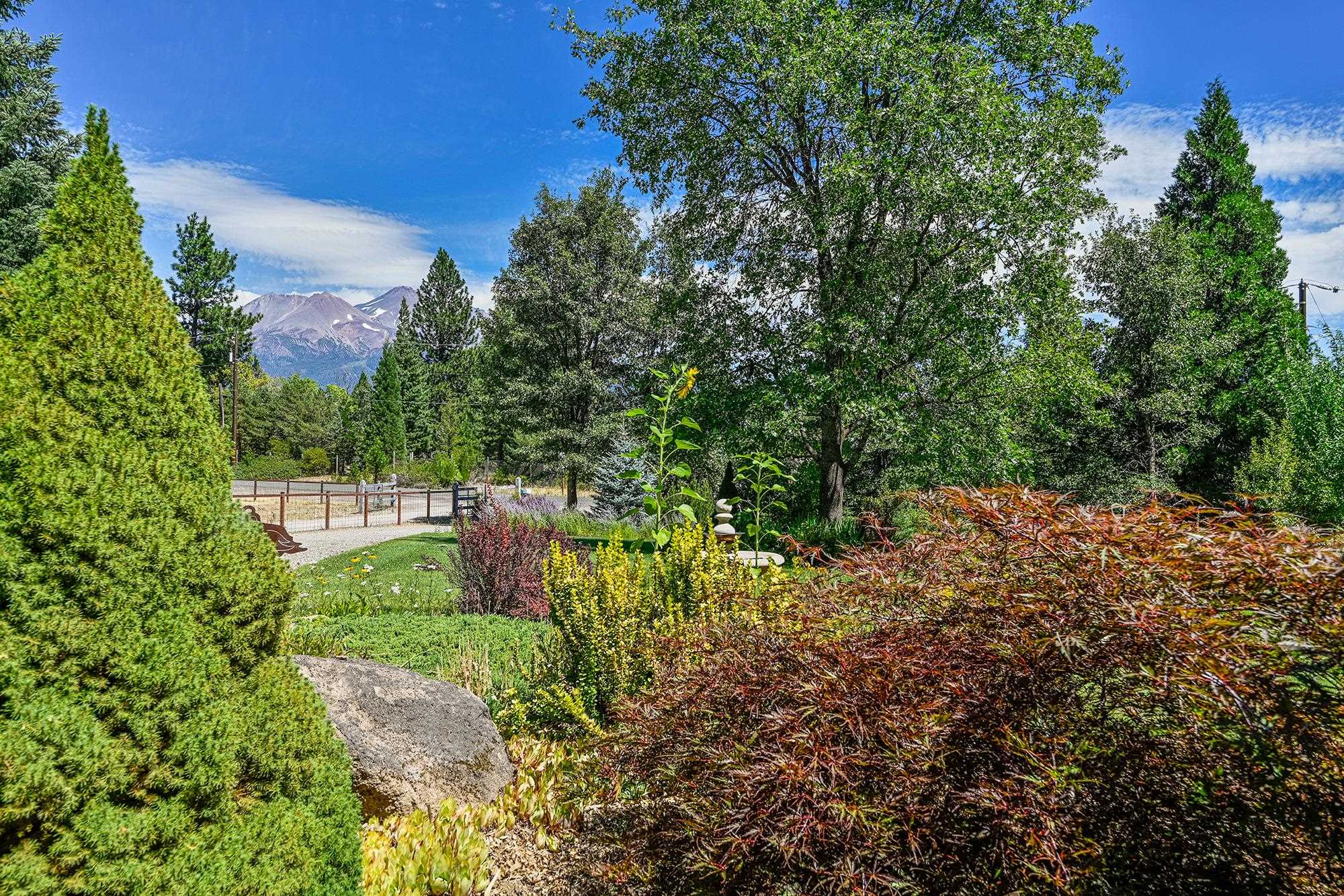1647 Davis Place Road Mount Shasta, CA 96067 - Photo 7 of 41 Gallery Image 7