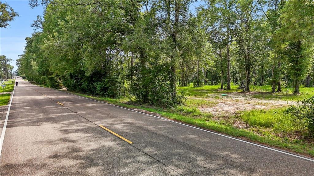 39462 Lee's Landing Road Ponchatoula, LA 70454 - Photo 12 of 14