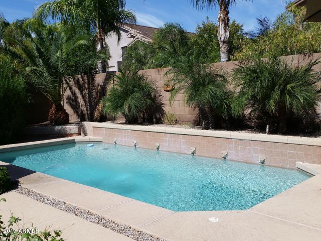 11014 East Decatur Street Mesa, AZ 85207 - Photo 12 of 13 Pool will waater accents