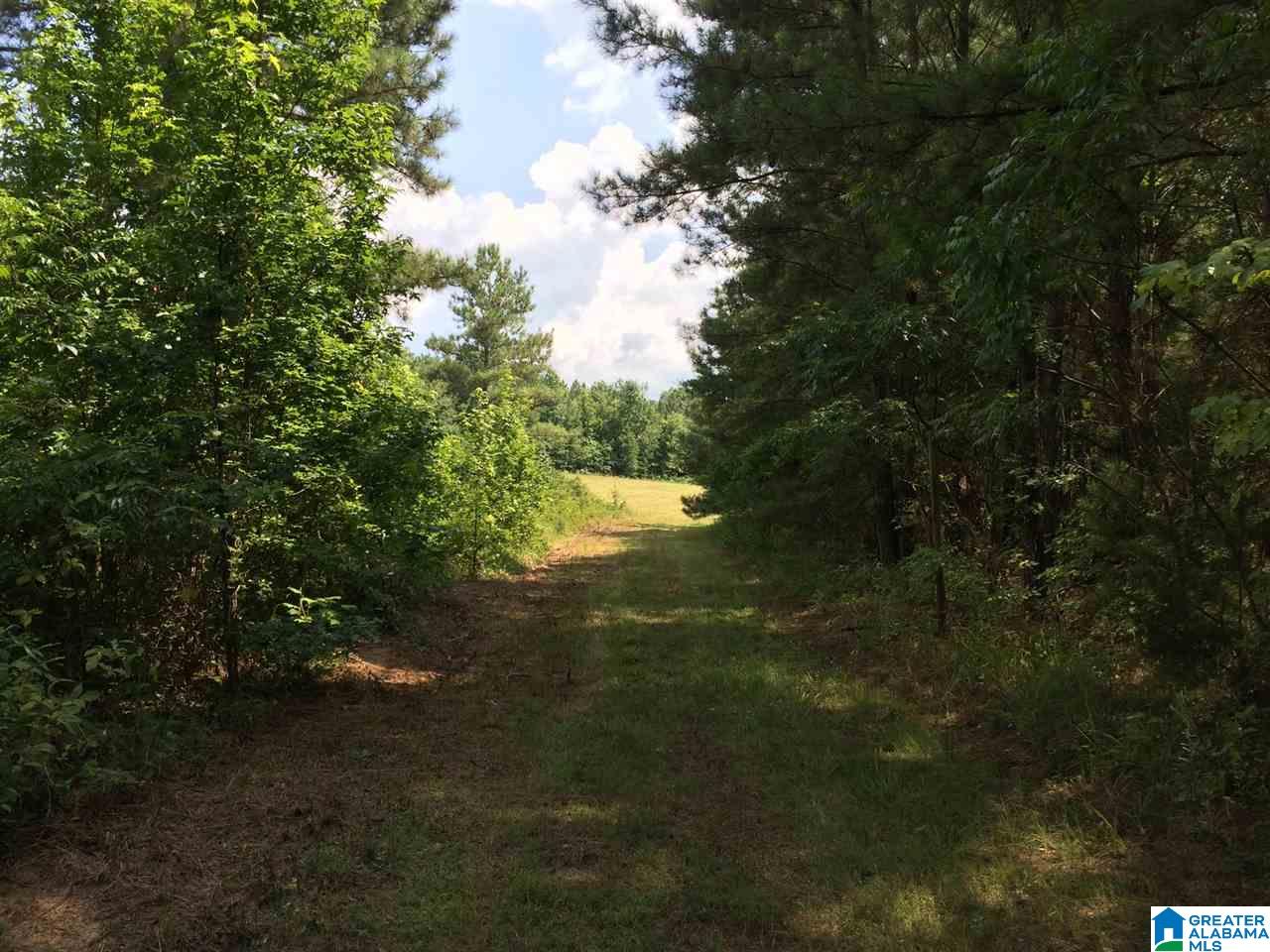 Spunky Hollow Road, Unit 18 7 Oneonta, AL 35121 - Photo 2 of 46