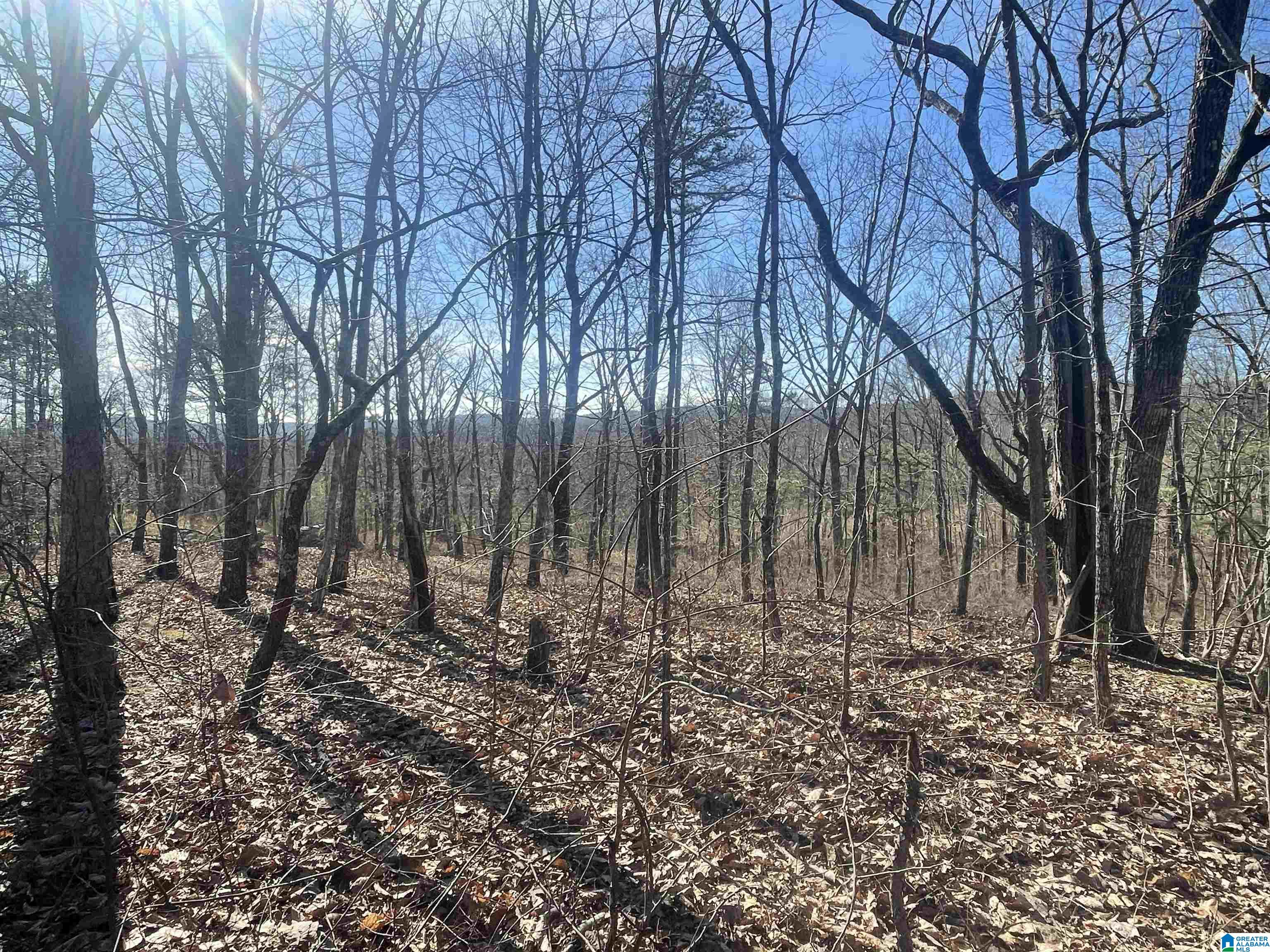0 County Road 852, Unit 4 Ranburne, AL 36273 - Photo 12 of 19