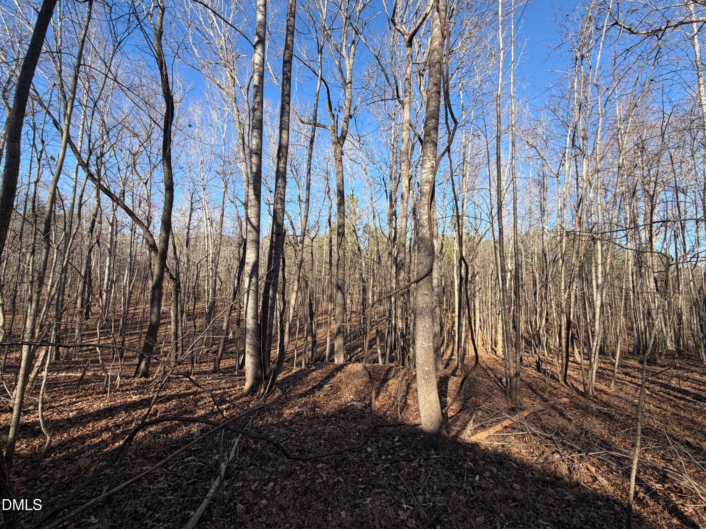 0 Lewis Winstead Lp Road Roxboro, NC 27574 - Photo 12 of 17