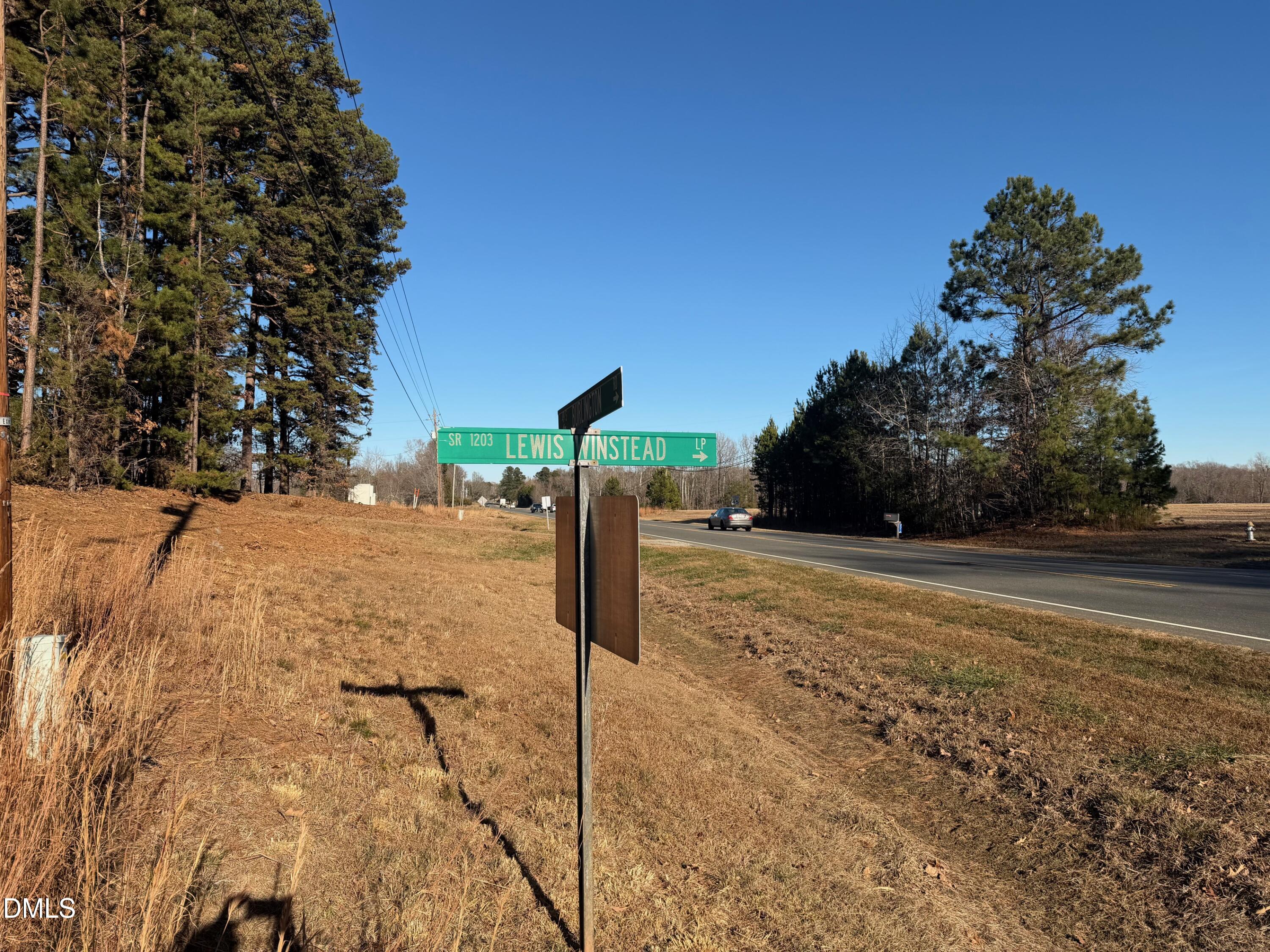 0 Lewis Winstead Lp Road Roxboro, NC 27574 - Photo 17 of 17 a street view along with trees