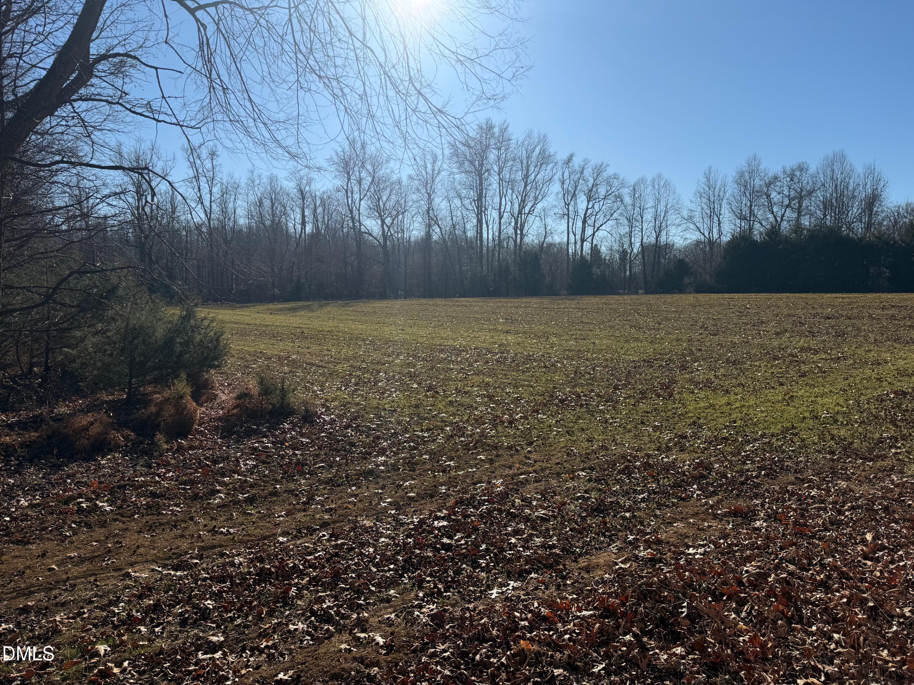 0 Lewis Winstead Lp Road Roxboro, NC 27574 - Photo 3 of 17 a view of outdoor space and yard