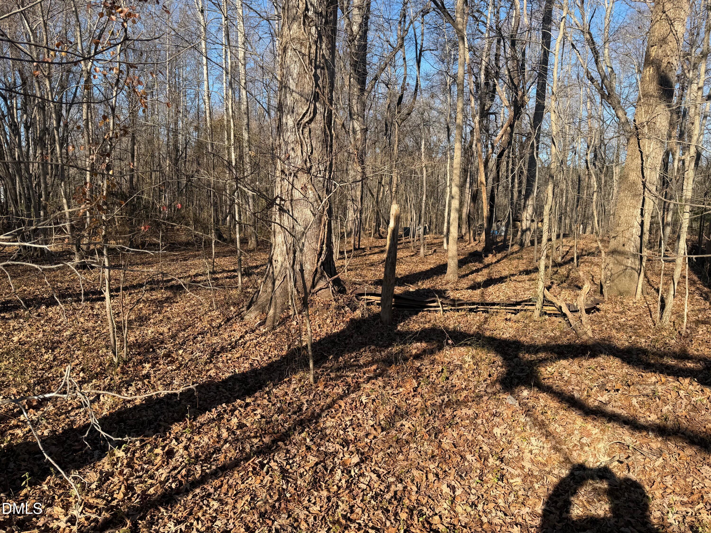 0 Lewis Winstead Lp Road Roxboro, NC 27574 - Photo 4 of 17 a view of a yard with wooden fence