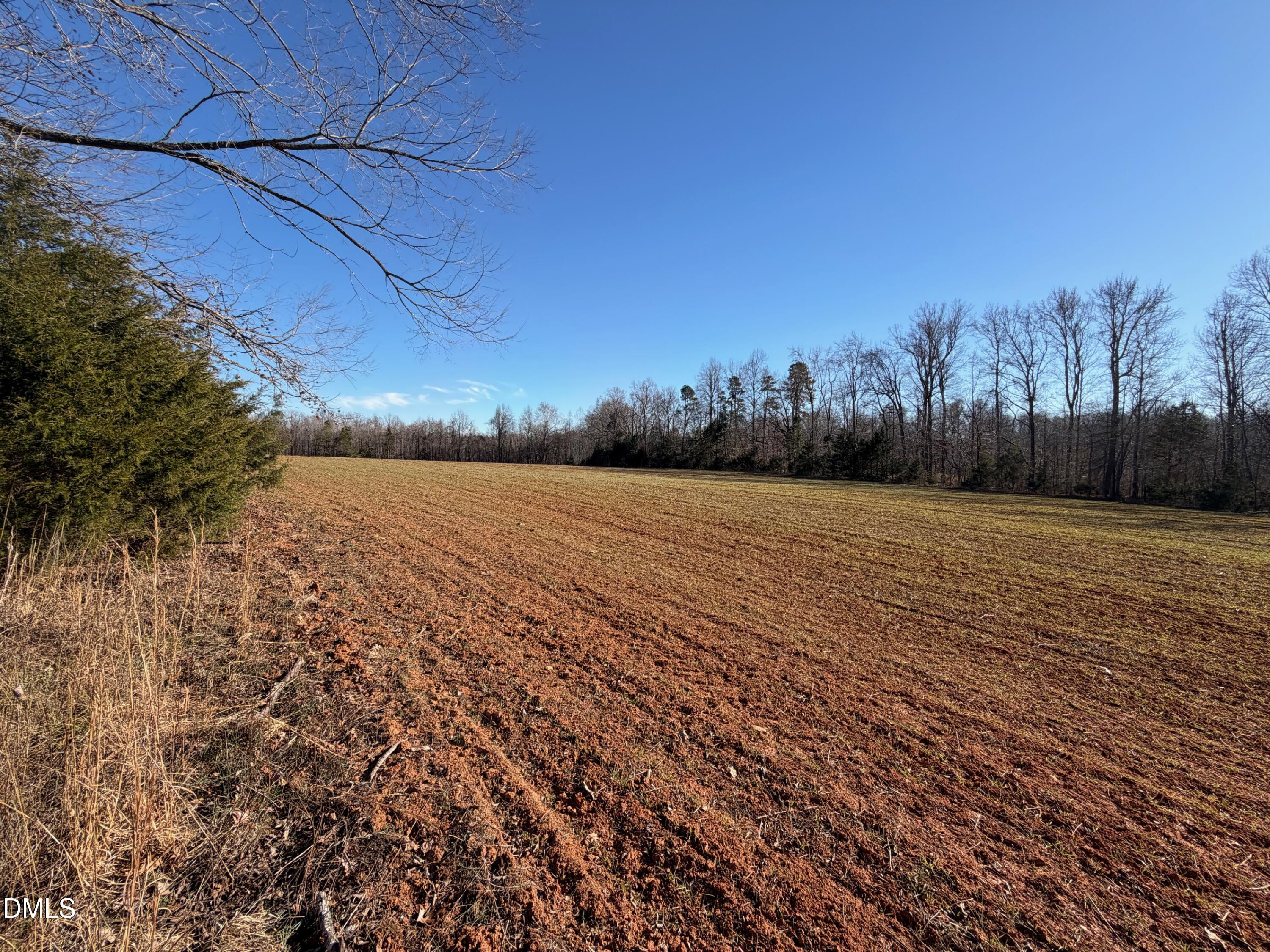 0 Lewis Winstead Lp Road Roxboro, NC 27574 - Photo 8 of 17 a view of an outdoor space and a yard