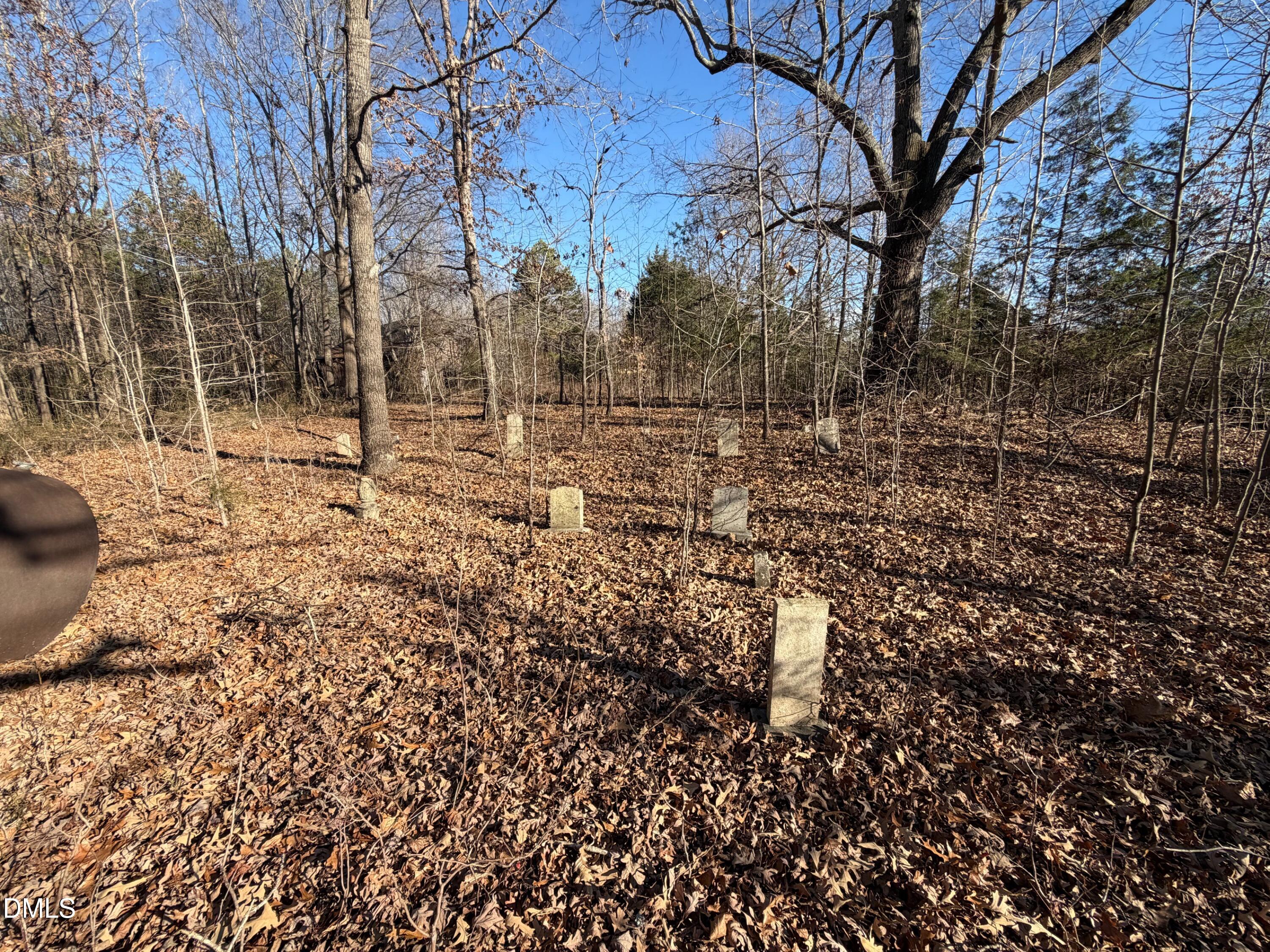 0 Lewis Winstead Lp Road Roxboro, NC 27574 - Photo 9 of 17 a backyard of a house with lots of green space