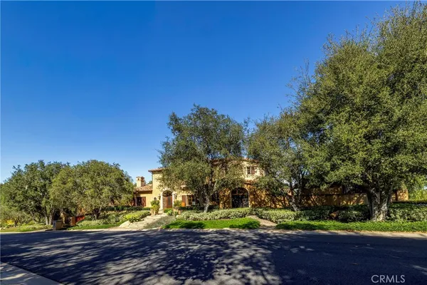 a view of a yard with plants and trees