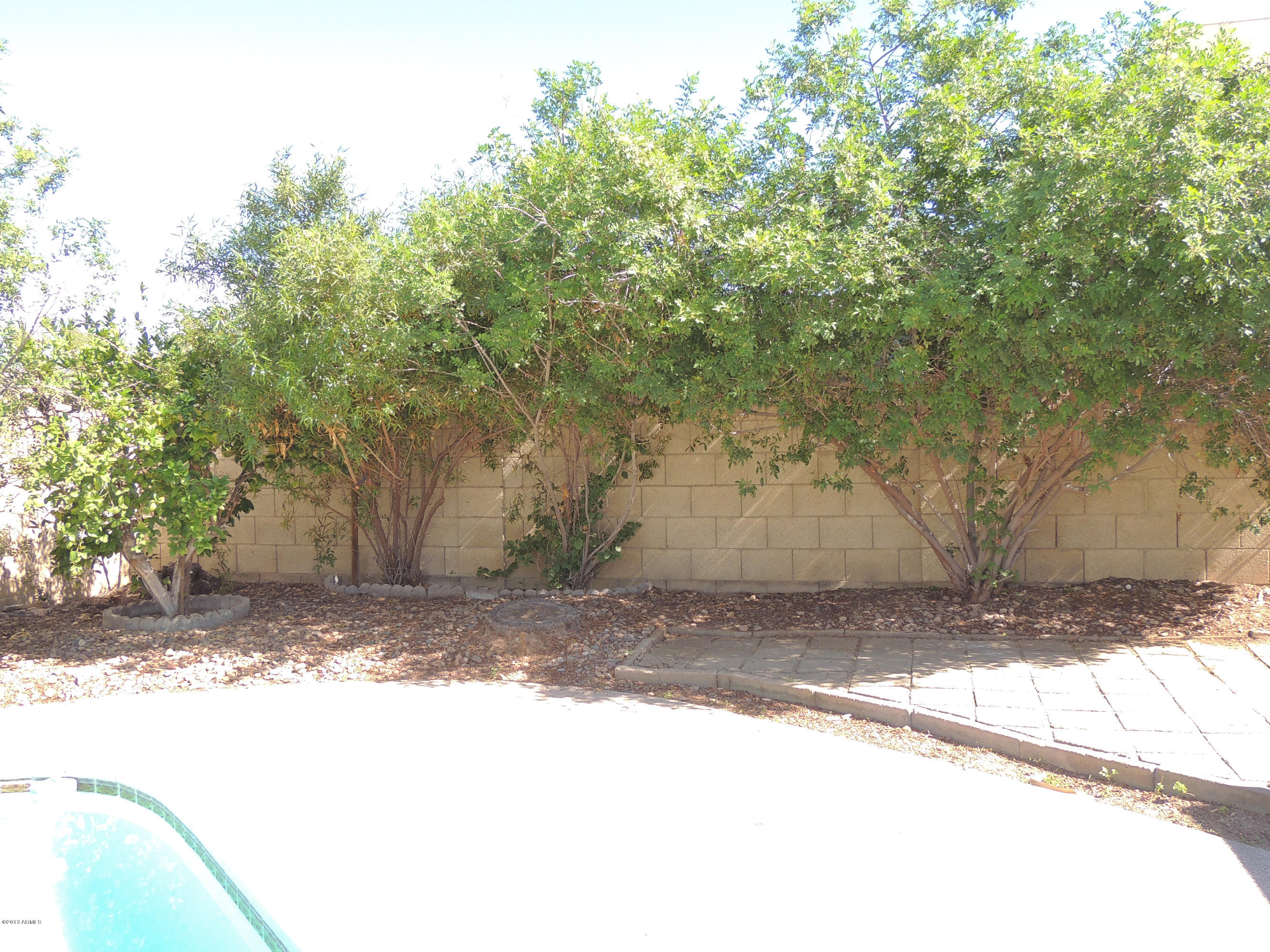 4314 West Redfield Road Glendale, AZ 85306 - Photo 41 of 65 DSCN2271