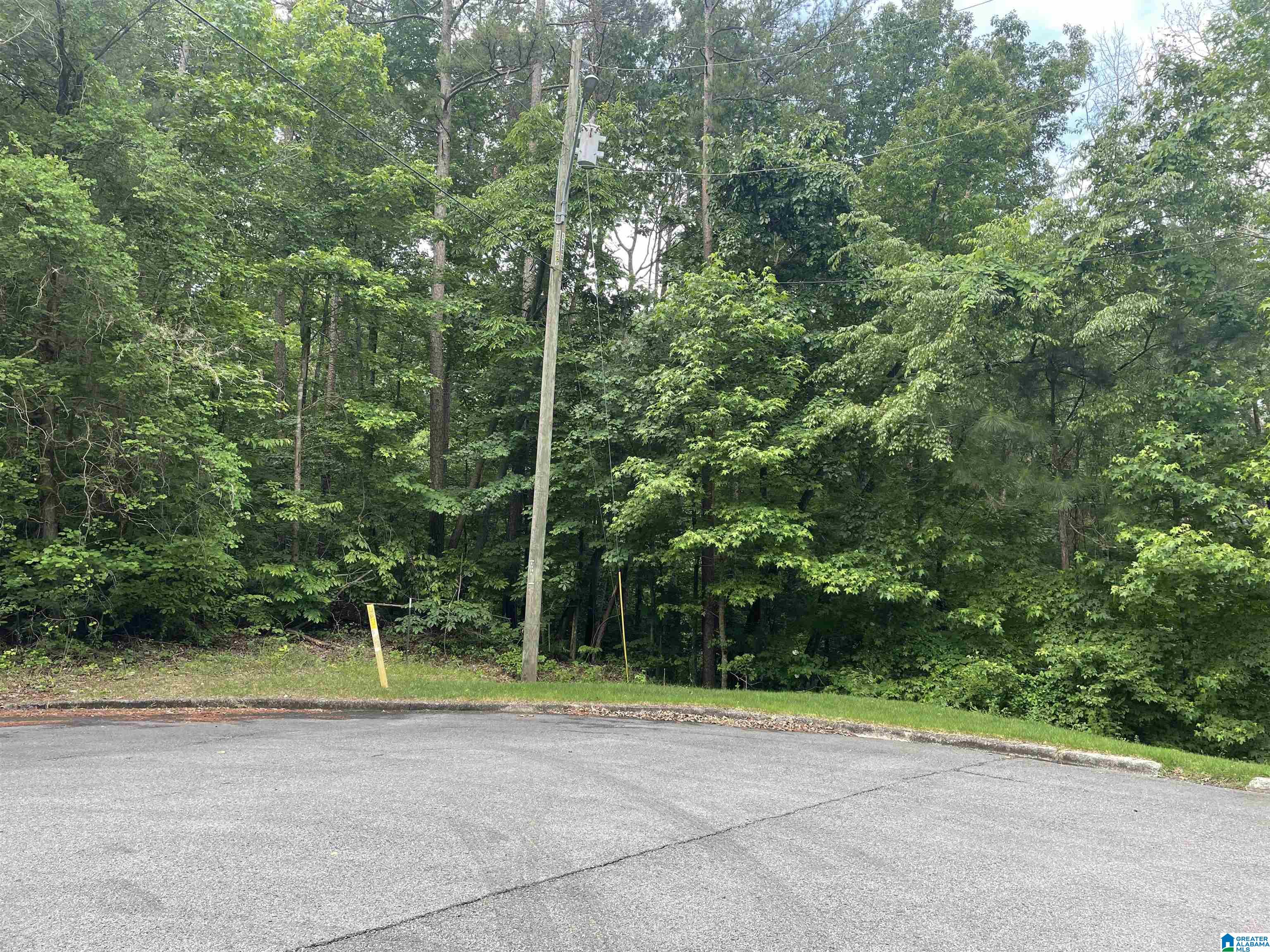 0 Cherrywood Road, Unit 8 Oneonta, AL 35121 - Photo 3 of 13
