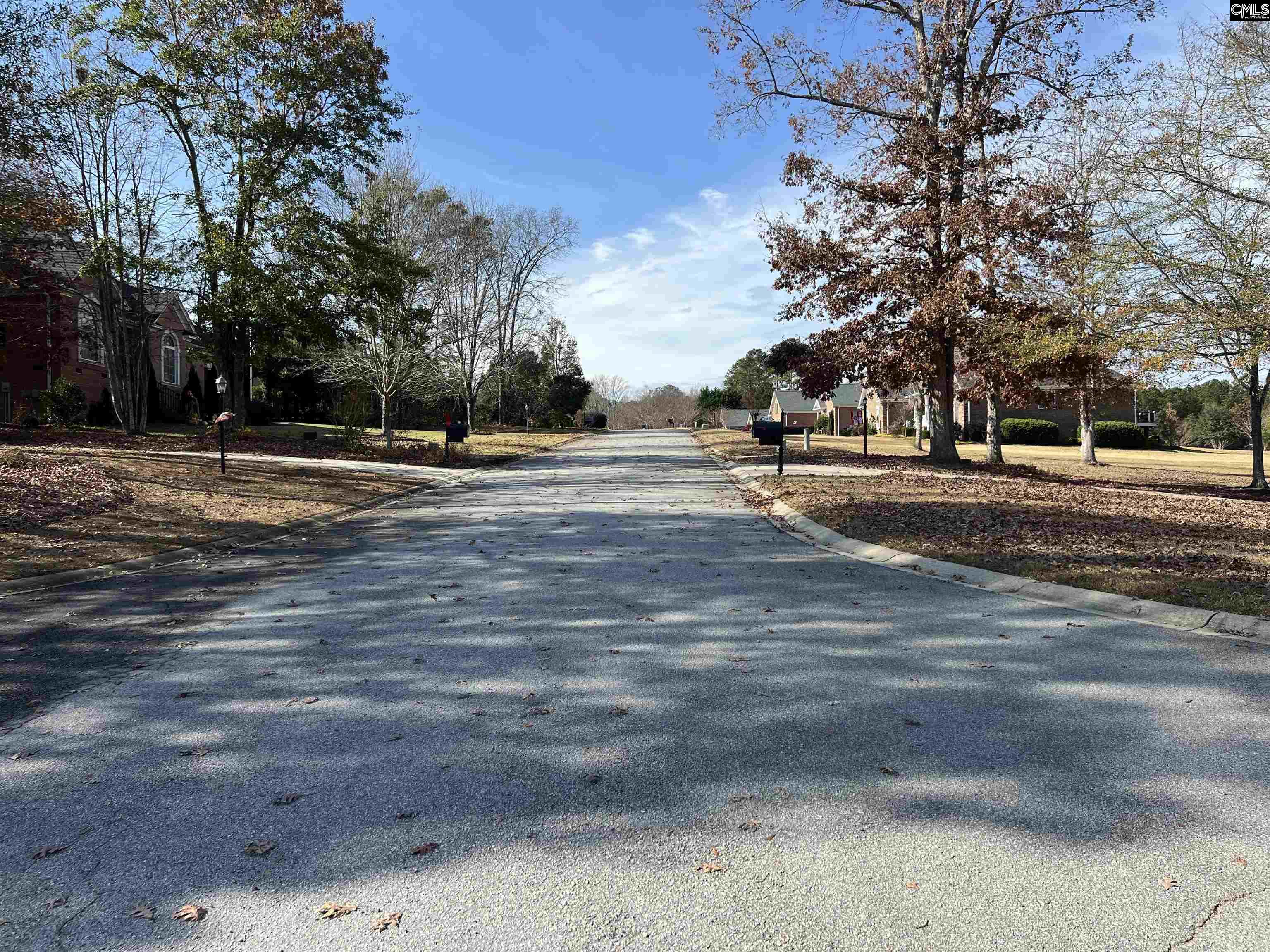 127 Deer Ridge Trail Gilbert, SC 29054 - Photo 3 of 6 a view of a yard with large trees