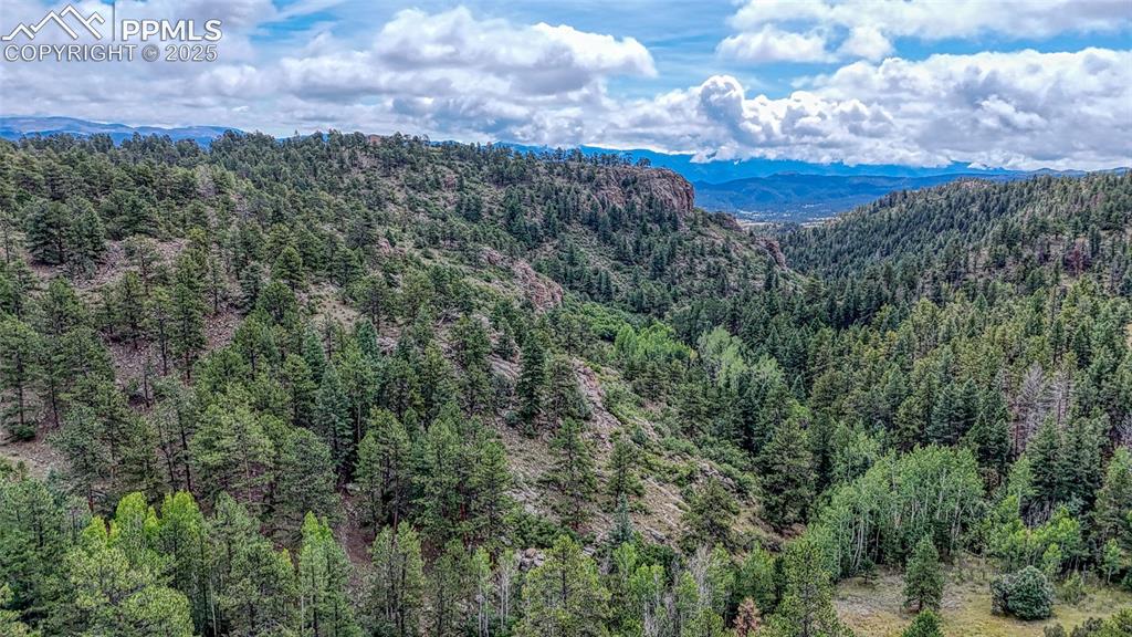 62 Cheyenne Road Florissant, CO 80816 - Photo 35 of 50