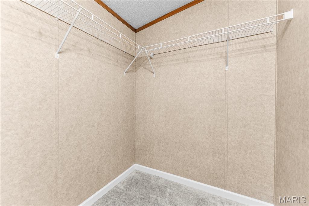 9345 Schaller Road Lenzburg, IL 62255 - Photo 19 of 56 Gallery Image 19