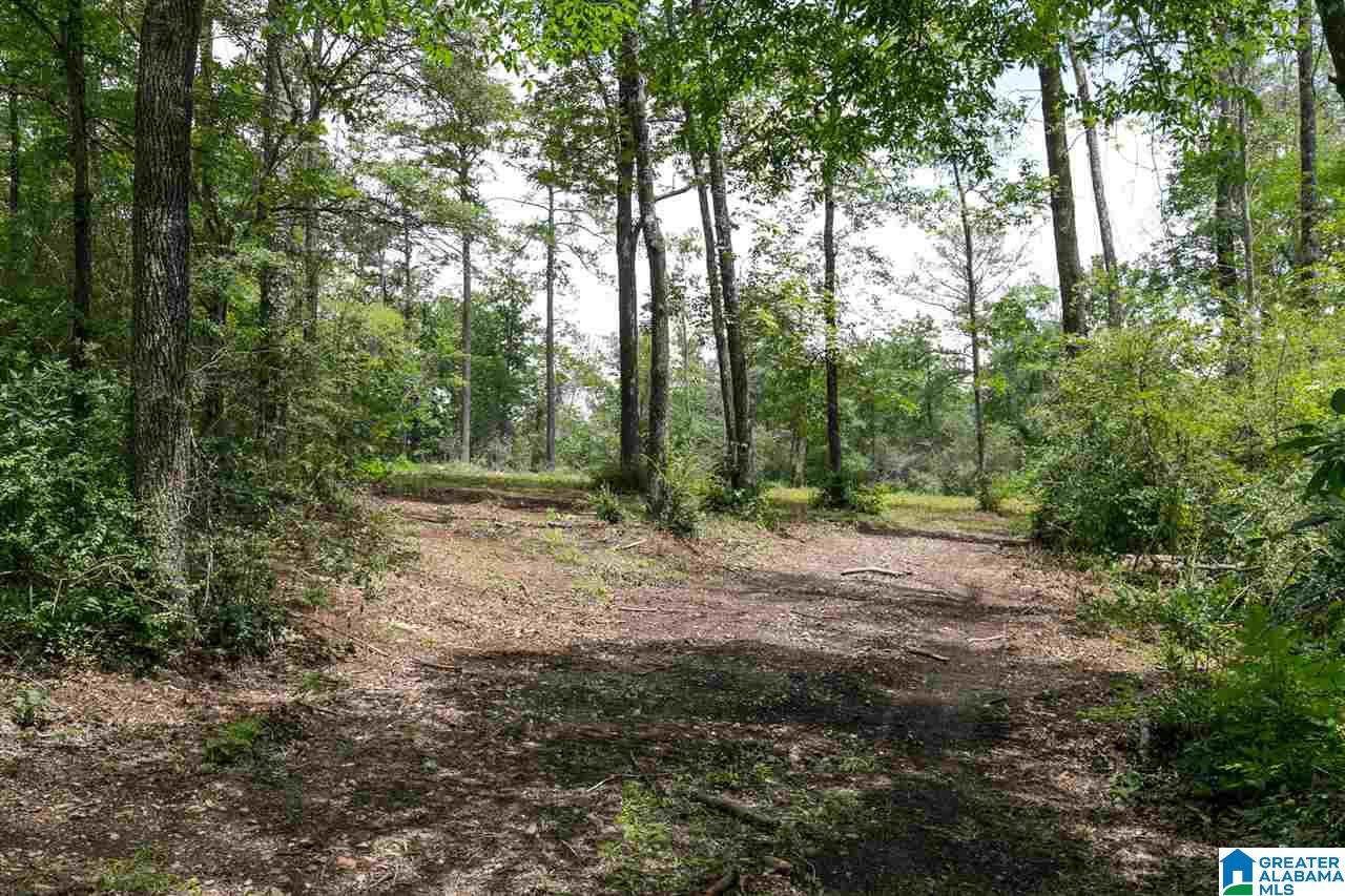 5306 Old Leeds Road, Unit 1 Birmingham, AL 35210 - Photo 6 of 18