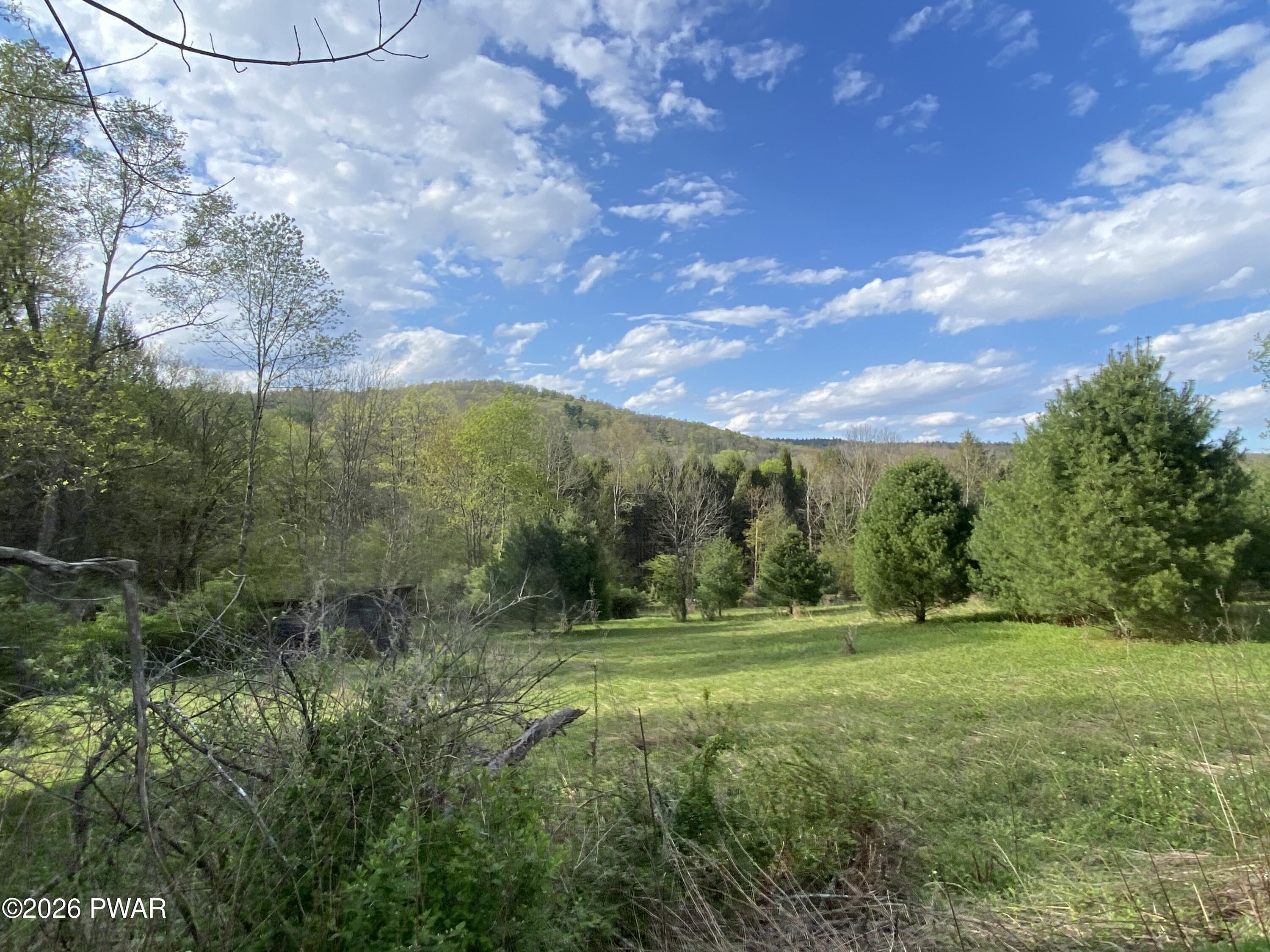 0 John Davis Road Beach Lake, PA 18405 - Photo 9 of 22