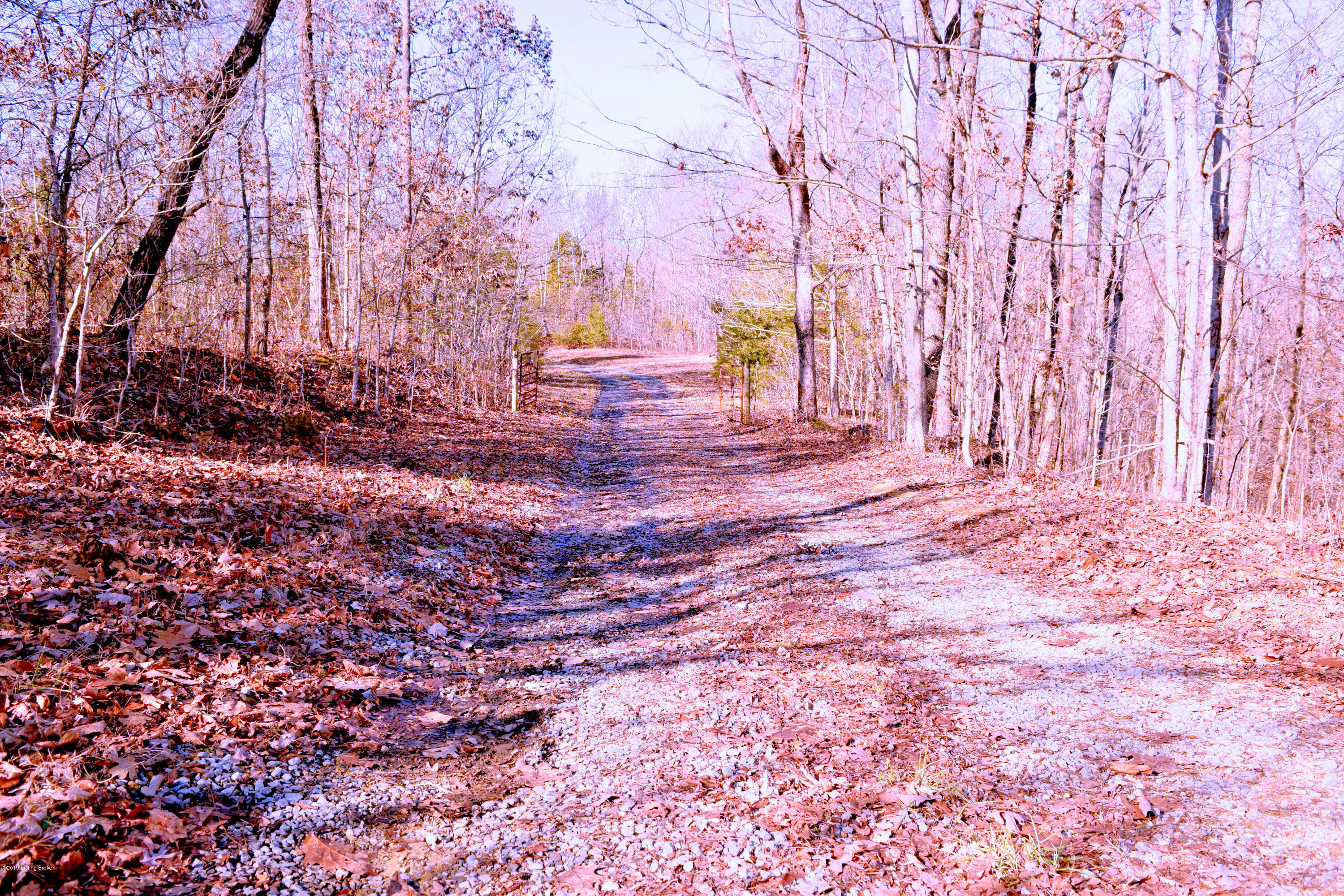0 Alene Smith Road Edmonton, KY 42129 - Photo 10 of 14 HDR4
