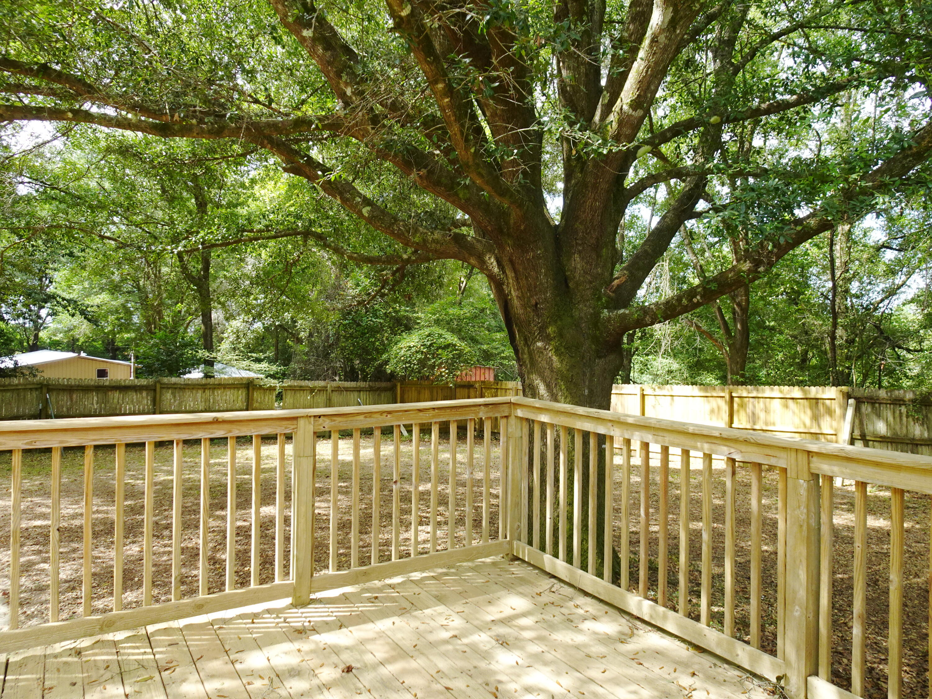 195 Heather Lane DeFuniak Springs, FL 32433 - Photo 14 of 20 a view of a large with a large tree