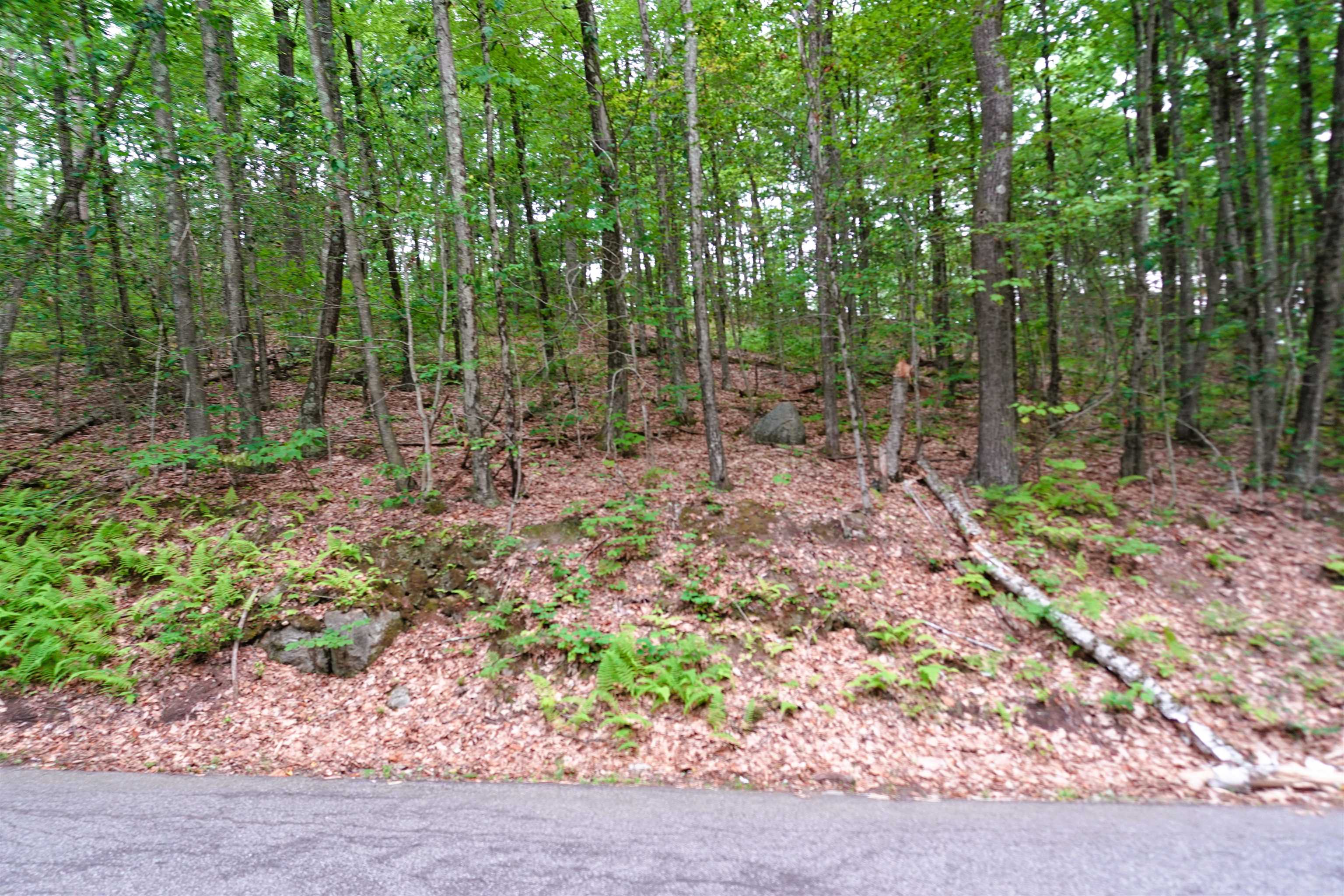 0 Burt Hill Road Winchester, NH 03470 - Photo 12 of 32
