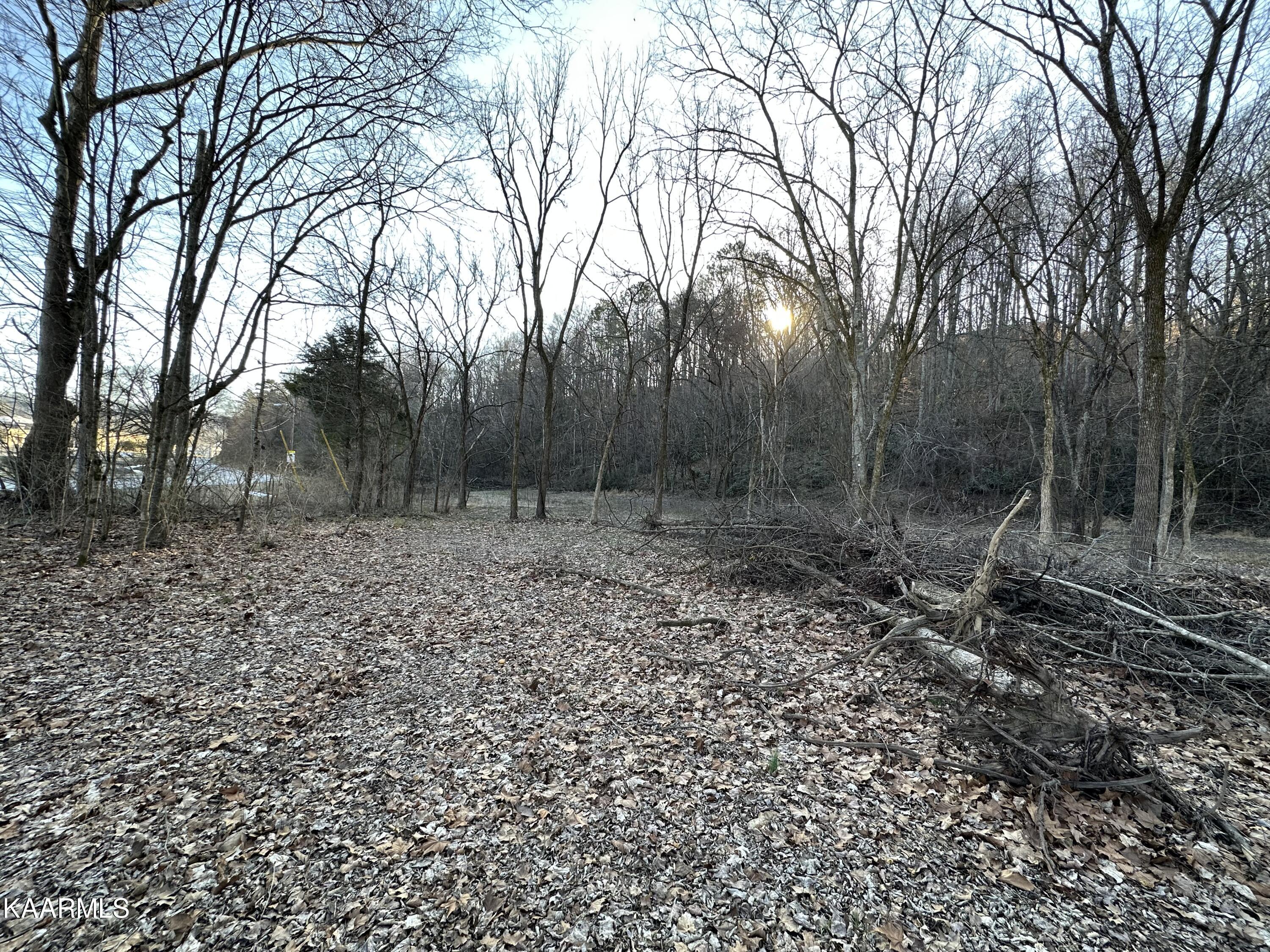 Sulphur Springs Road Clinton, TN 37716 - Photo 2 of 5 IMG_2781