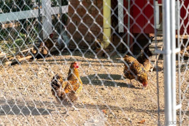 $1,350,000 | 15091 Chemise Creek Road, Ramona, CA 92065