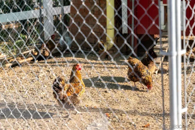 $1,350,000 | 15091 Chemise Creek Road, Ramona, CA 92065