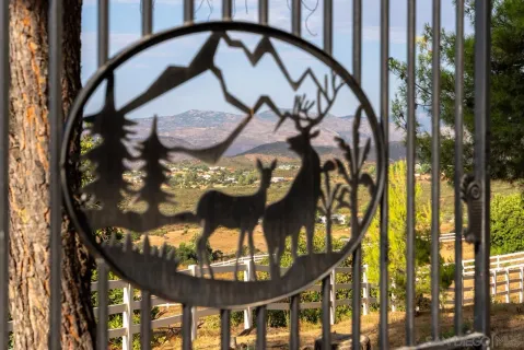 an aerial view of residential houses with outdoor space and river