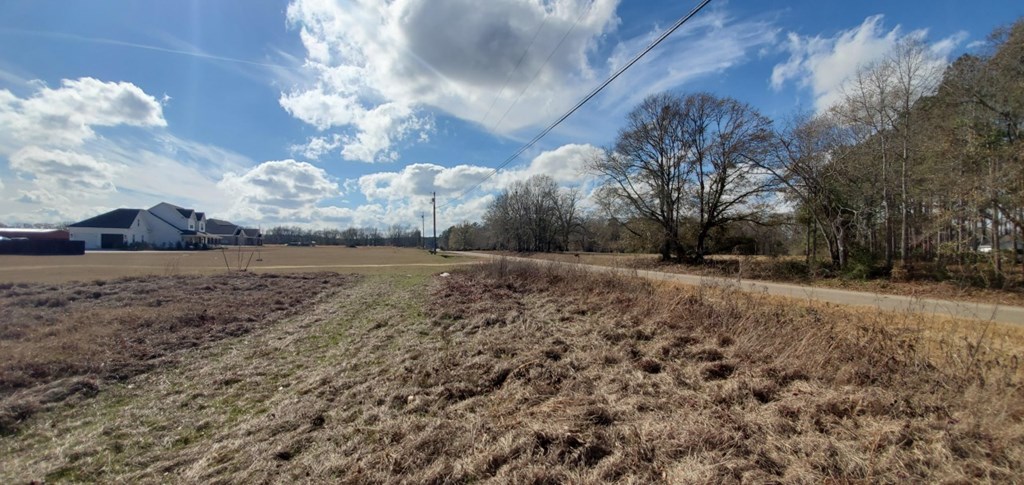 0 Cobb Road Dothan, AL 36301 - Photo 3 of 4