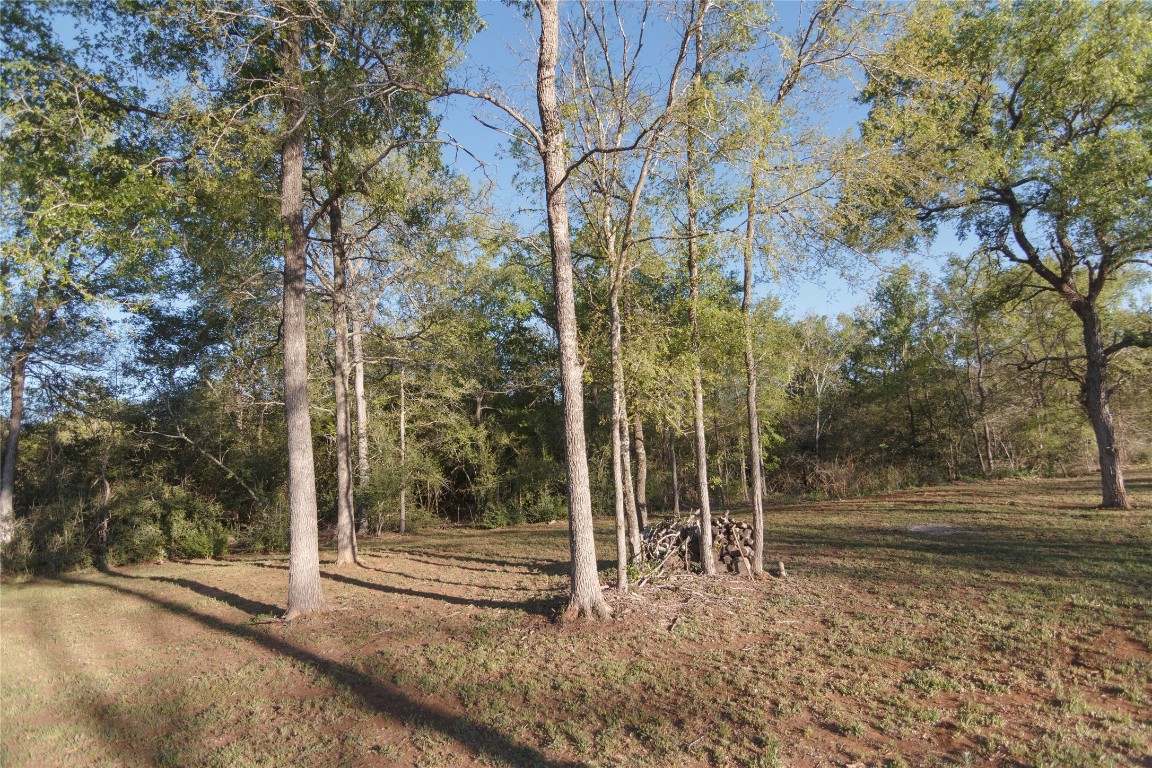 1977 Jeddo Road Rosanky, TX 78953 - Photo 19 of 30 a view of a park with iron fence