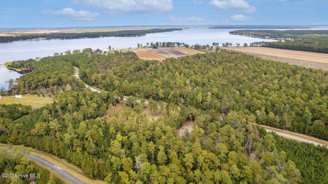 517 Arant Farm Road Merritt, NC 28556 - Photo 7 of 25 517 arant farm rd _ Drone-6