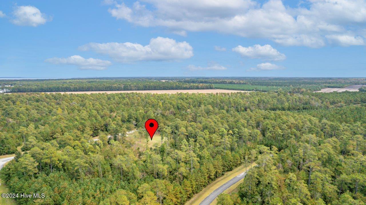 517 Arant Farm Road Merritt, NC 28556 - Photo 8 of 25 517 arant farm rd _ Drone-7