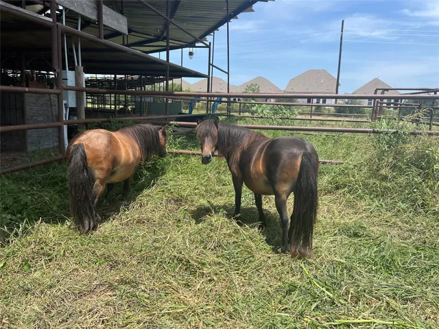 $2,590,000 | 21512 Binford Road, Waller, TX 77484