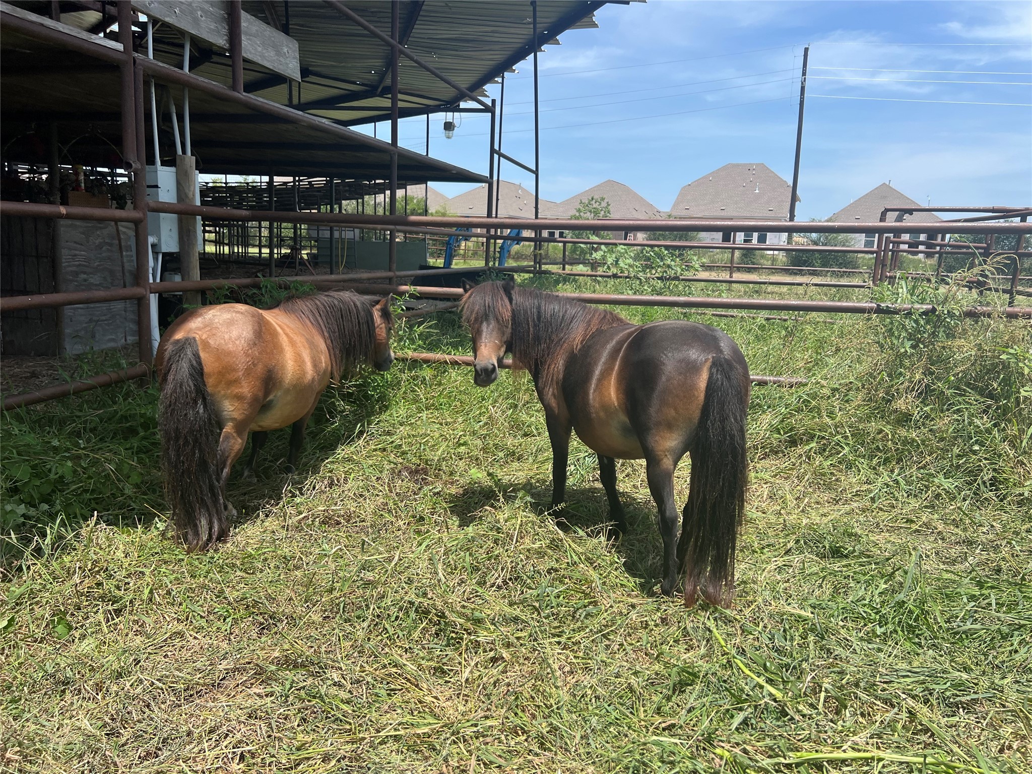 21512 Binford Road Waller, TX 77484 - Photo 50 of 50 a view of a garden from a balcony