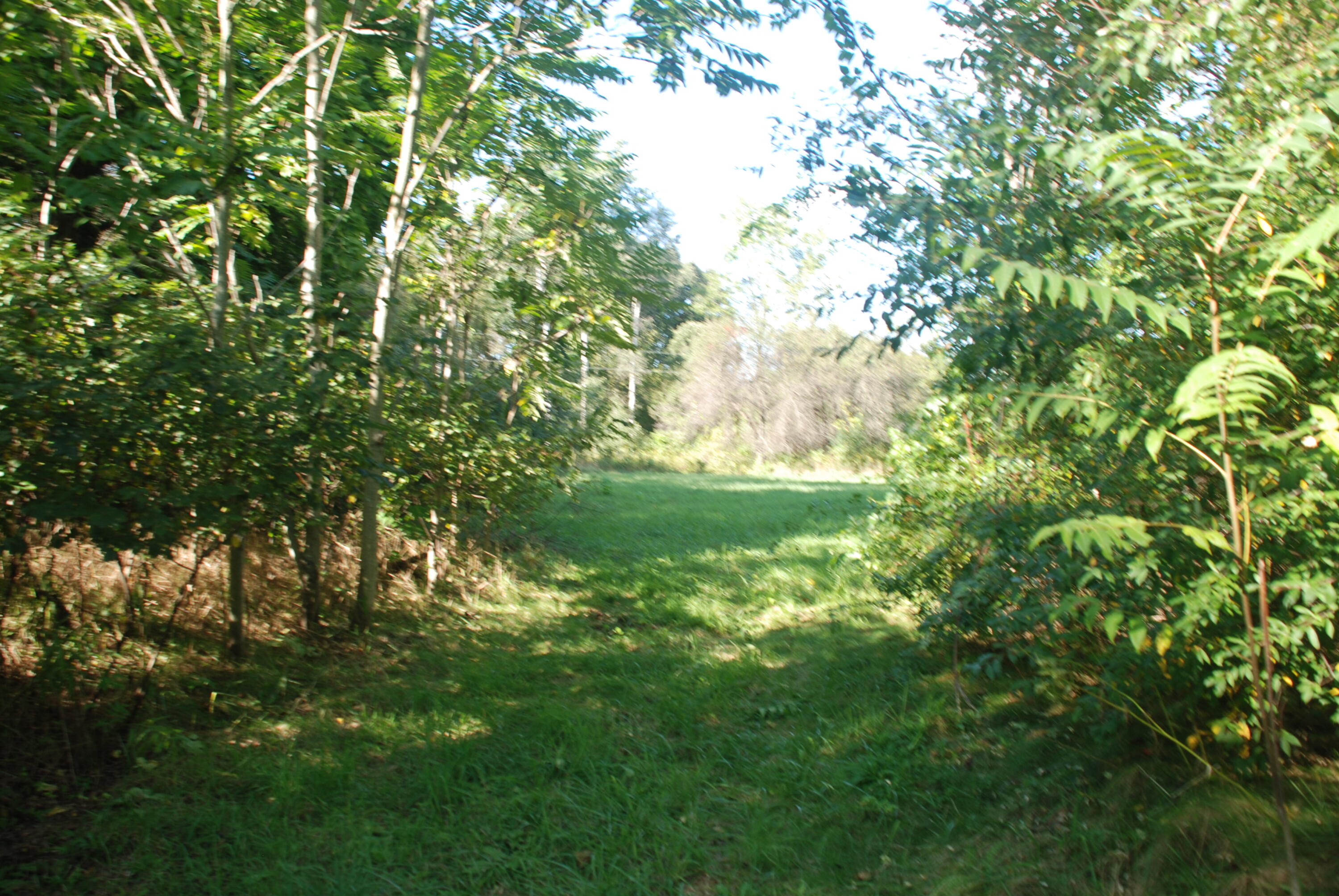 5984 Jordan Road Jackson, MI 49201 - Photo 1 of 8 DSC_1567