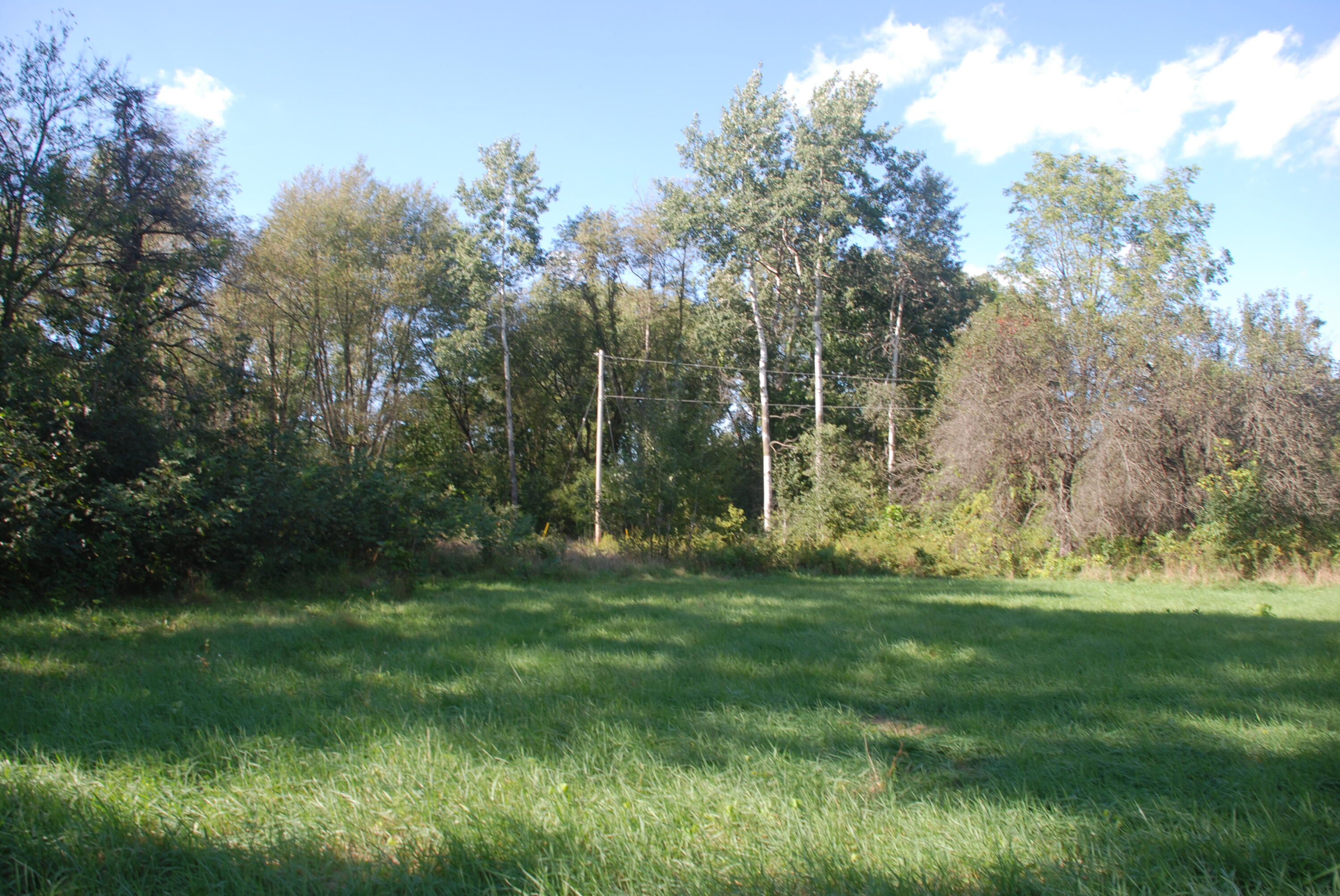 5984 Jordan Road Jackson, MI 49201 - Photo 2 of 8 DSC_1558