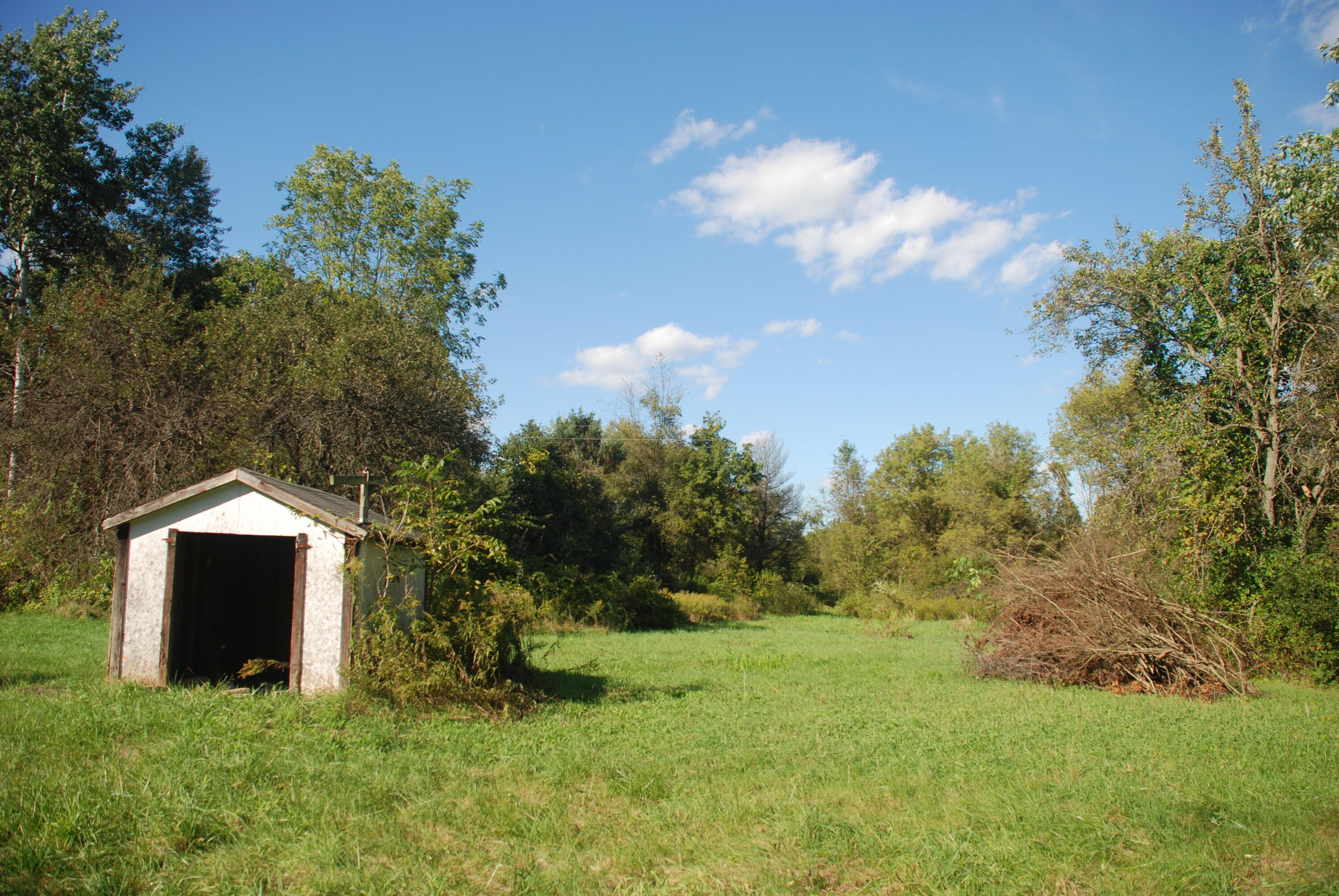 5984 Jordan Road Jackson, MI 49201 - Photo 3 of 8 DSC_1562