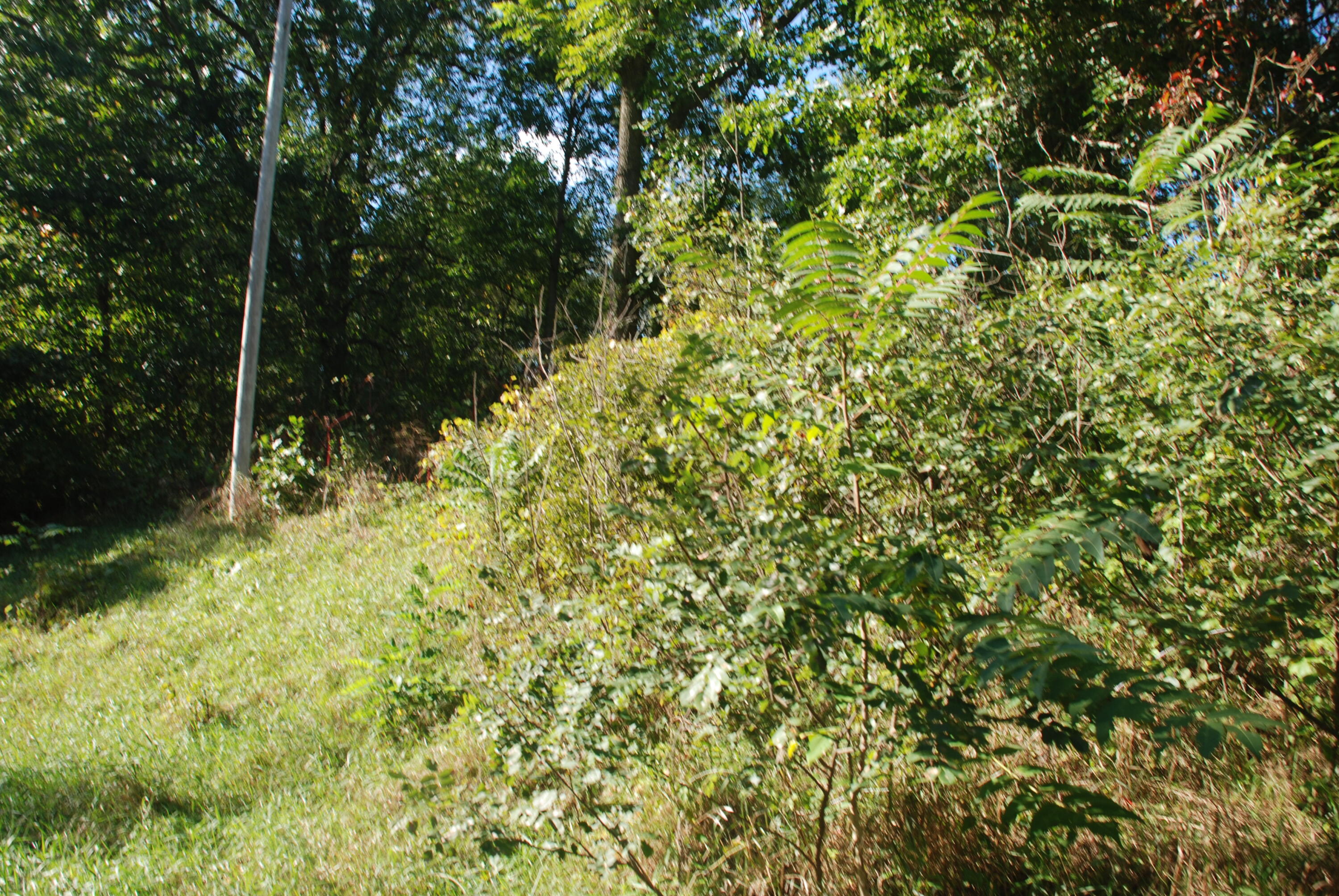 5984 Jordan Road Jackson, MI 49201 - Photo 6 of 8 DSC_1569