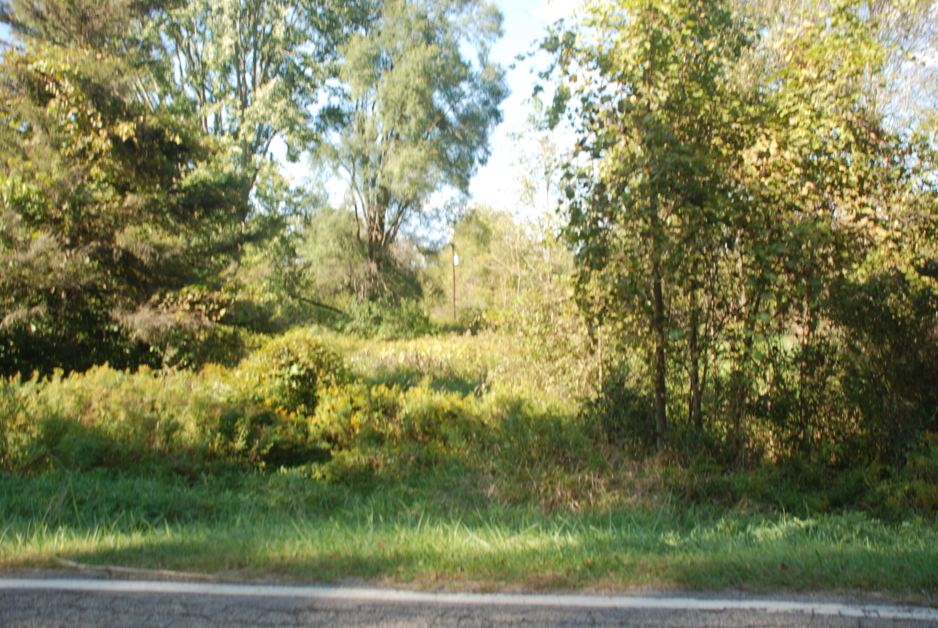 5984 Jordan Road Jackson, MI 49201 - Photo 7 of 8 DSC_1570