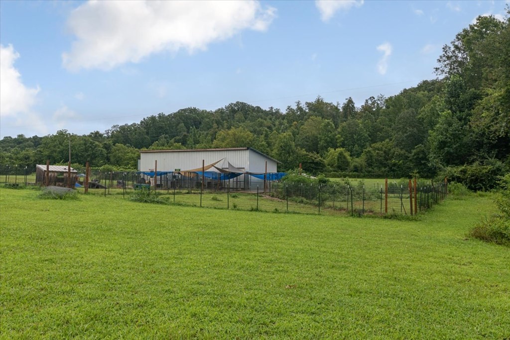 6565 Toestring Valley Road Spring City, TN 37381 - Photo 52 of 64 Gallery Image 52