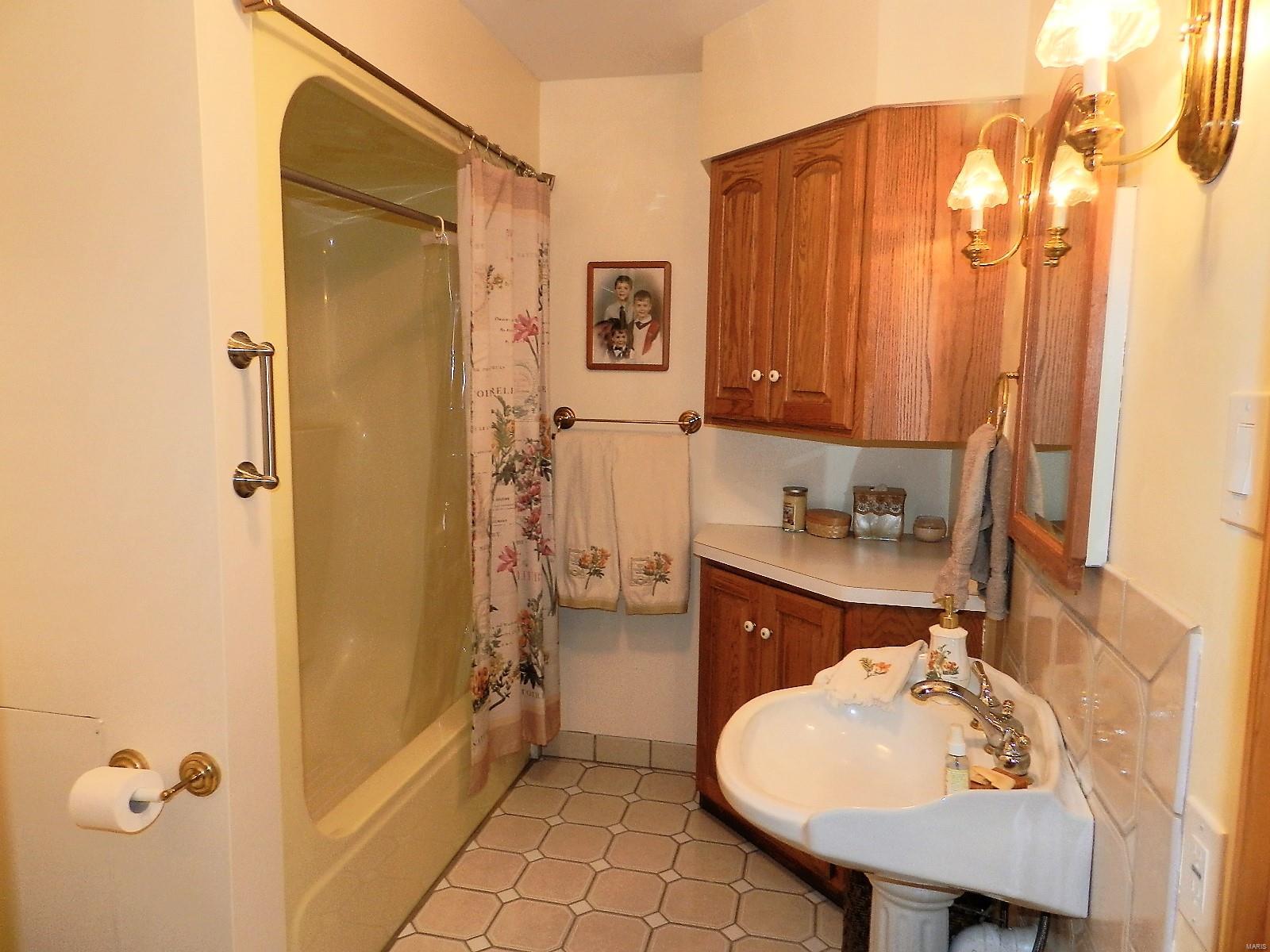 3865 Rentchler Station Road Belleville, IL 62221 - Photo 19 of 48