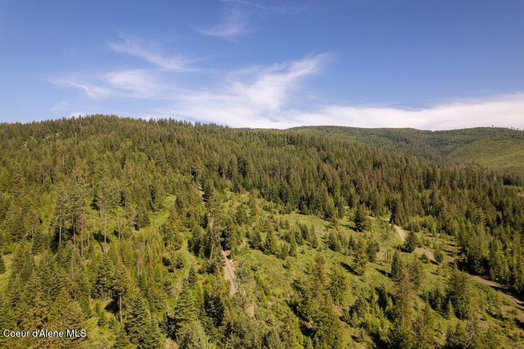 Nka Waddell Road St. Maries, ID 83861 - Photo 13 of 22 013-nkanextto1312WaddellRoad-SaintMaries